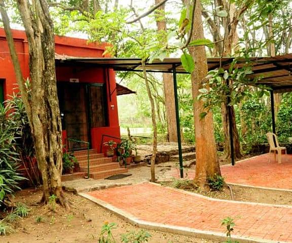 Bamboo Banks Farm & Guest House Tamil Nadu Masinagudi Facade